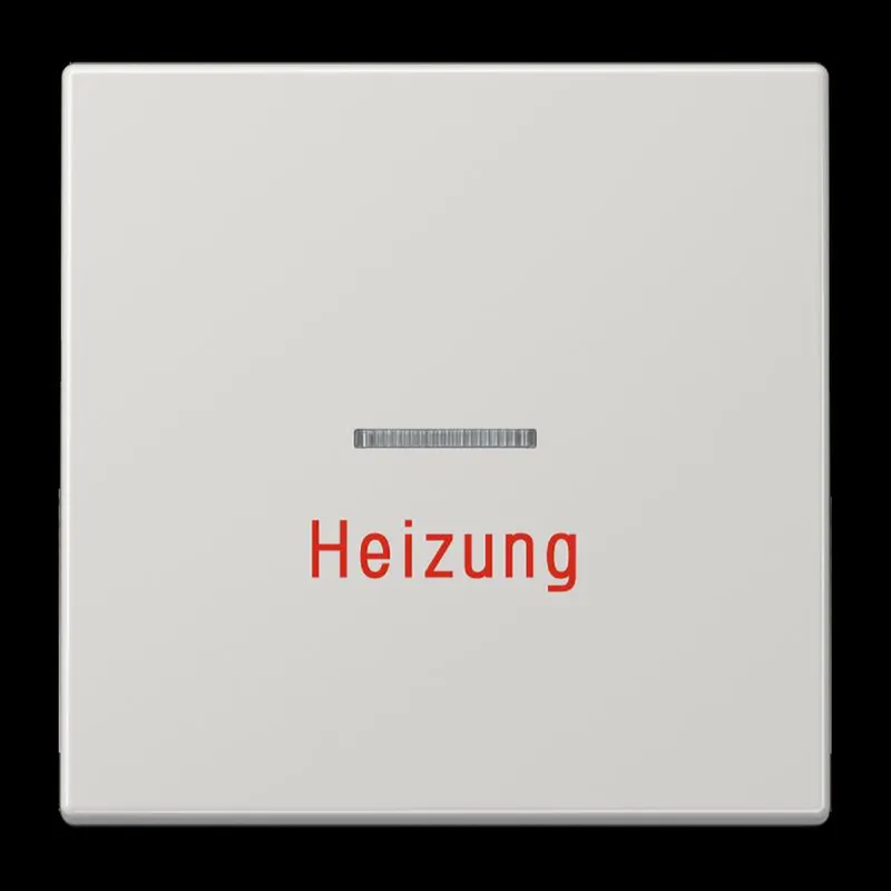 Jung Wippe 1fach mit Lichtleiter, Heizung, Duroplast, Serie LS, lichtgrau LS990HLG