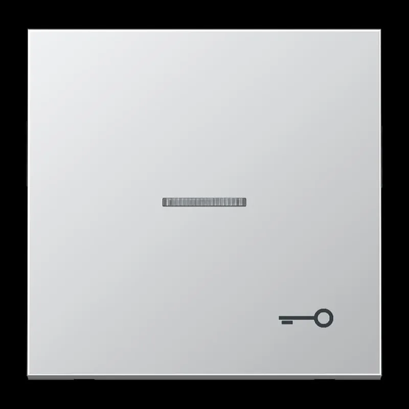 Jung Wippe mit Lichtleiter, Symbol Tür, Serie LS, Aluminium AL2990KO5T