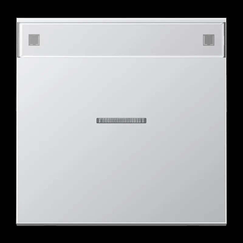 Jung Wippe 1fach mit Lichtleiter, mit Schriftfeld, Serie LS, Aluminium AL2990NAKO5
