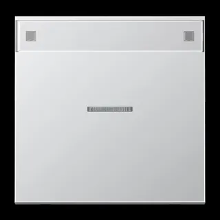 Jung Wippe 1fach mit Lichtleiter, mit Schriftfeld, Serie LS, Aluminium AL2990NAKO5