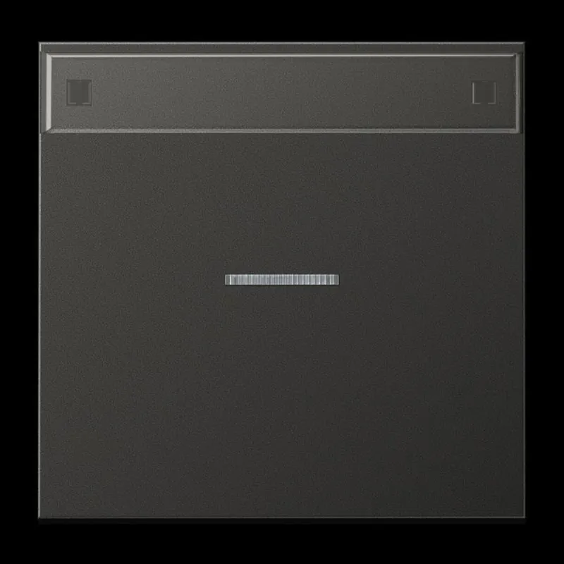 Jung Wippe 1fach mit Lichtleiter, mit Schriftfeld, Aluminium lackiert, Serie LS, anthrazit (lackiertes Aluminium) AL2990NAKO5AN