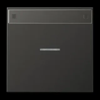 Jung Wippe 1fach mit Lichtleiter, mit Schriftfeld, Aluminium lackiert, Serie LS, anthrazit (lackiertes Aluminium) AL2990NAKO5AN