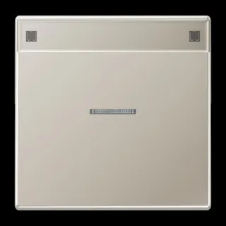 Jung Wippe 1fach mit Lichtleiter, mit Schriftfeld, Serie LS, Edelstahl ES2990NAKO5