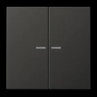 Jung Wippe 2fach mit Lichtleiter, Aluminium lackiert, Serie LS, anthrazit (lackiertes Aluminium) AL2995KO5AN