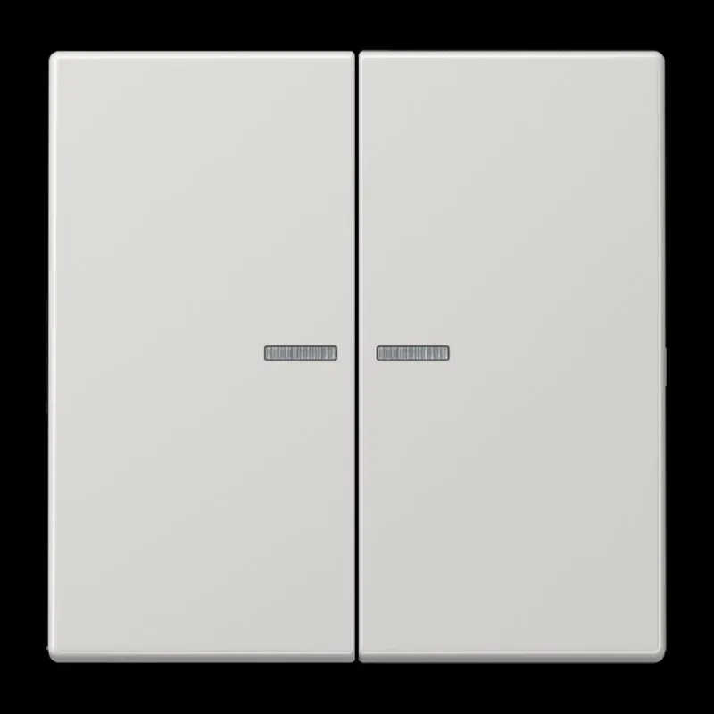 Jung Wippe 2fach mit Lichtleiter, Duroplast, Serie LS, lichtgrau LS995KO5LG
