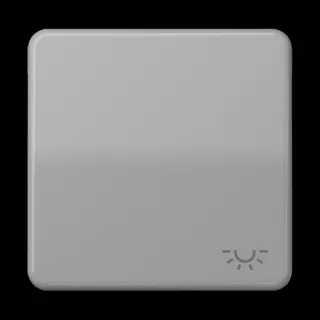 Jung Wippe 1fach, Symbol Licht, Duroplast, Serie CD, grau CD590LGR
