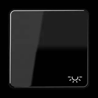 Jung Wippe 1fach, Symbol Licht, Duroplast, Serie CD, schwarz CD590LSW