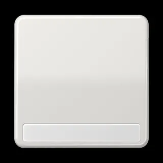 Jung Wippe 1fach, mit Schriftfeld, Duroplast, Serie CD, lichtgrau CD590NALG