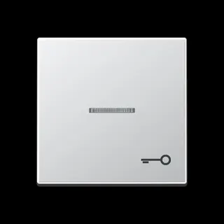 Jung Wippe mit Lichtleiter, Symbol Tür, Serie A, aluminium A590KO5TAL