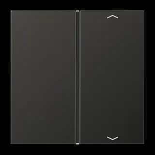 Jung Taste 1fach, mit Pfeilsymbolen, F40, Serie LS, anthrazit (lackiertes Aluminium) AL2401TSAPAN