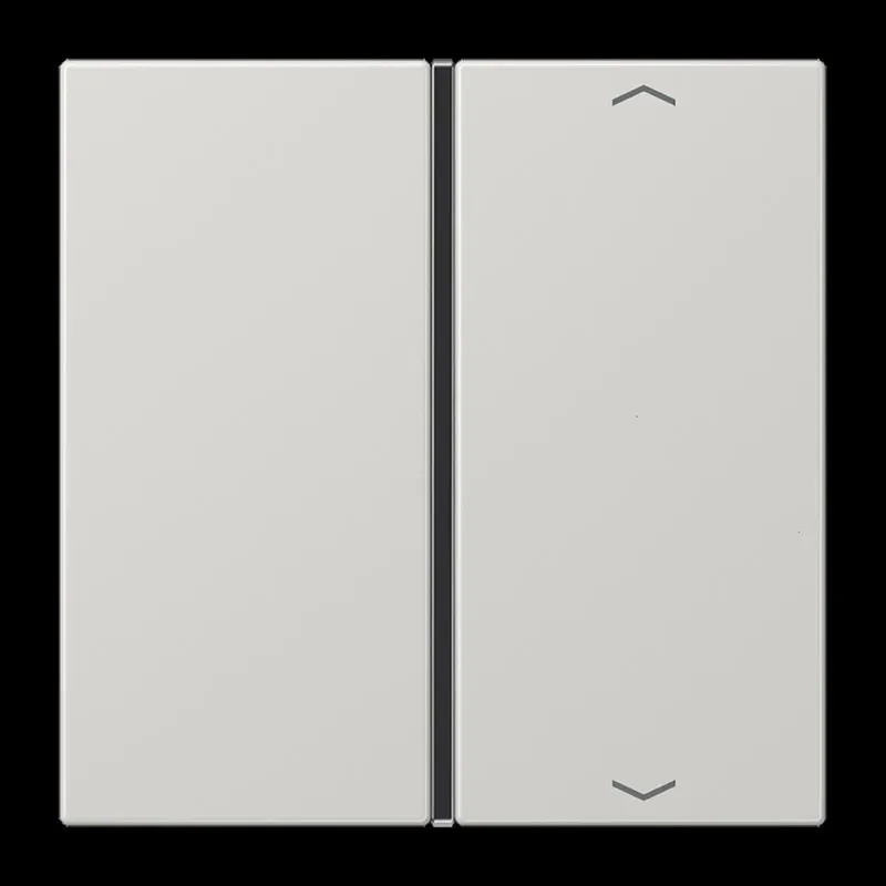 Jung Taste 1fach, mit Pfeilsymbolen, F40, Serie LS, lichtgrau LS401TSAPLG