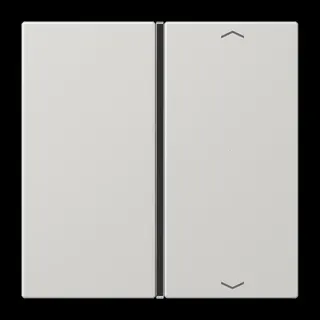 Jung Taste 1fach, mit Pfeilsymbolen, F40, Serie LS, lichtgrau LS401TSAPLG
