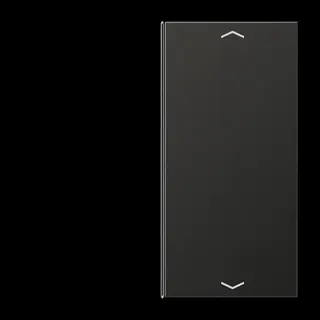 Jung Taste 2fach, mit Pfeilsymbolen, F40, Serie LS, anthrazit (lackiertes Aluminium) AL2402TSAPAN