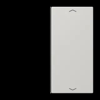 Jung Taste 2fach, mit Pfeilsymbolen, F40, Serie LS, lichtgrau LS402TSAPLG