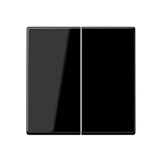 Jung Wippe 2fach, Duroplast, Serie A, schwarz A595SW