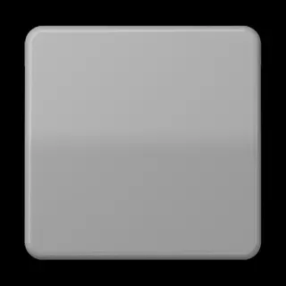 Jung Wippe 1fach, Duroplast, Serie CD, grau CD590GR