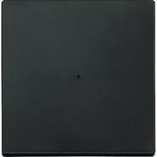 Merten Wippe MEG5210-0414 1fach anthrazit