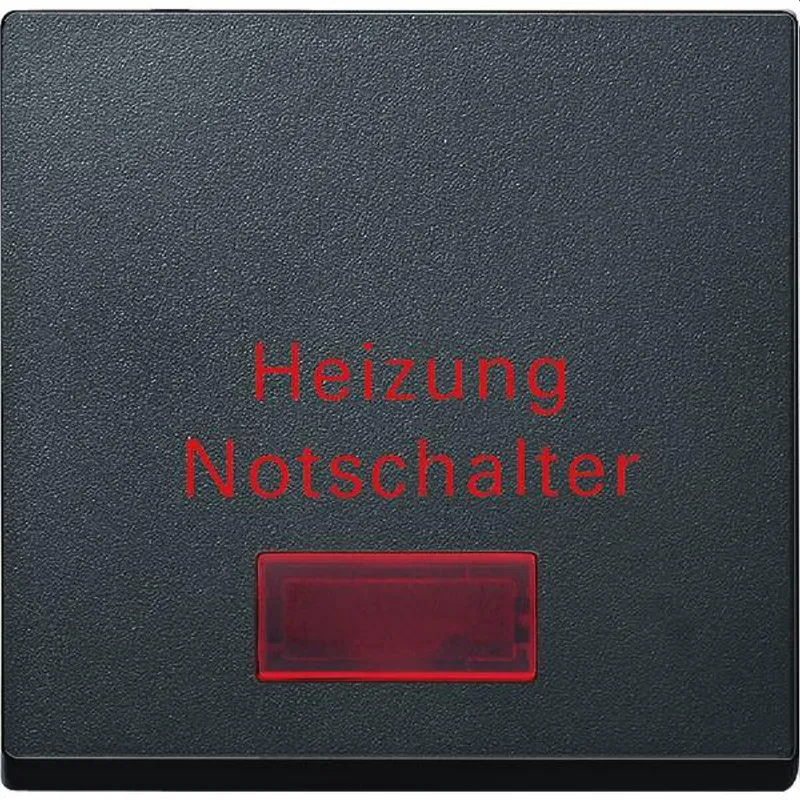 Merten Wippe MEG3327-0414 anthrazit System M