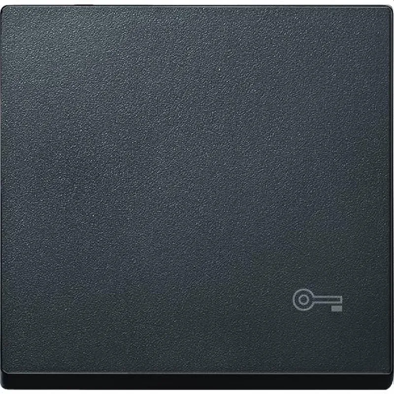 Merten Wippe MEG3303-0414 anthrazit System M