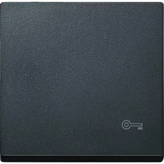 Merten Wippe MEG3303-0414 anthrazit System M