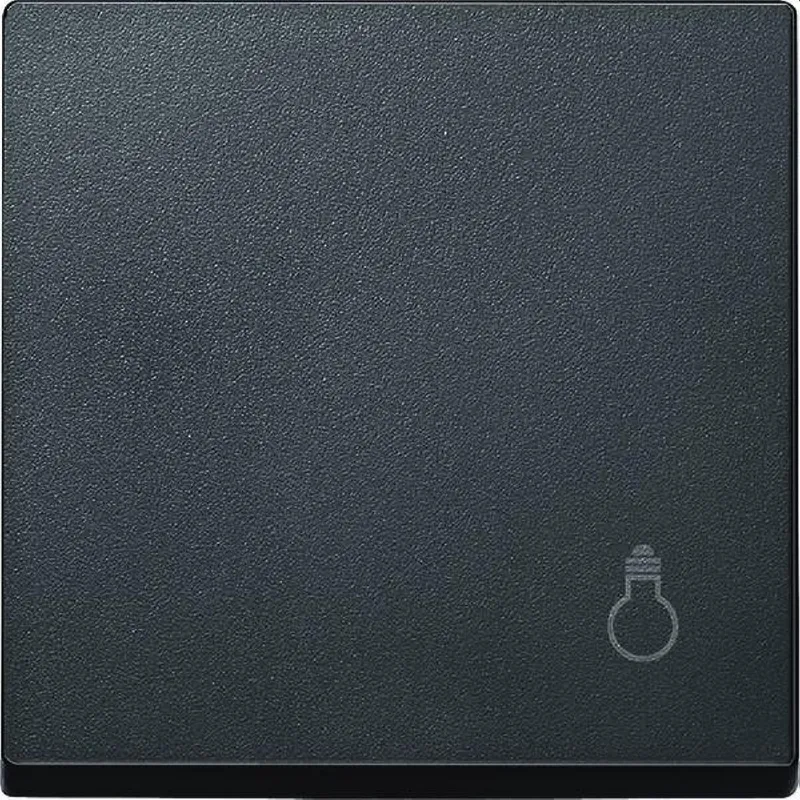 Merten Wippe MEG3302-0414 anthrazit System M