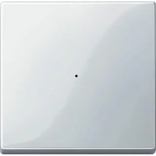 Merten Wippe 619119 polarweiss glaenzend System M