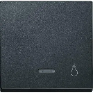 Merten Wippe 430914 anthrazit System M