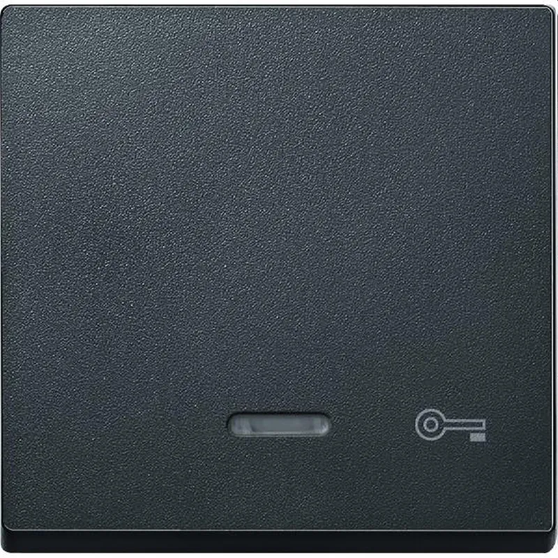 Merten Wippe 430714 anthrazit System M