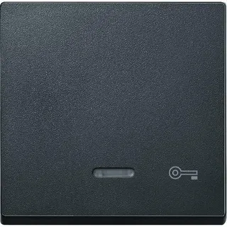 Merten Wippe 430714 anthrazit System M