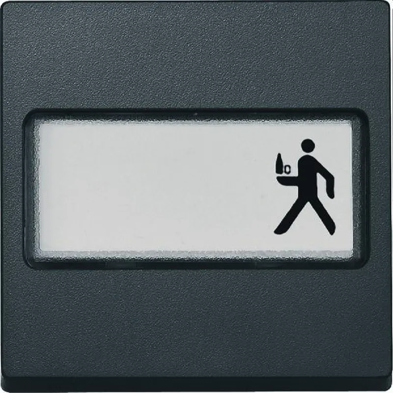 Merten Wippe 433314 anthrazit SYSTEM M