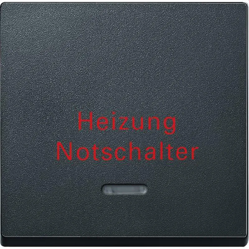 Merten Wippe 431814 anthrazit