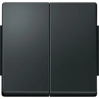 Merten Serienwippe 343514 anthrazit AQUADESIGN