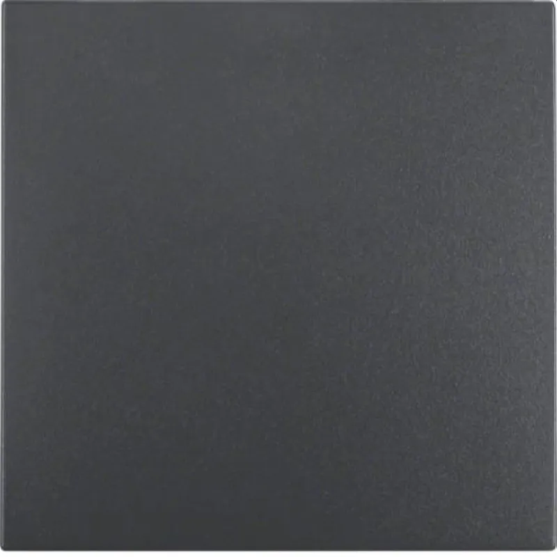Berker Wippe M316201606 anthrazit matt