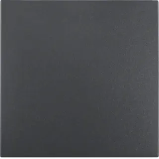 Berker Wippe M316201606 anthrazit matt