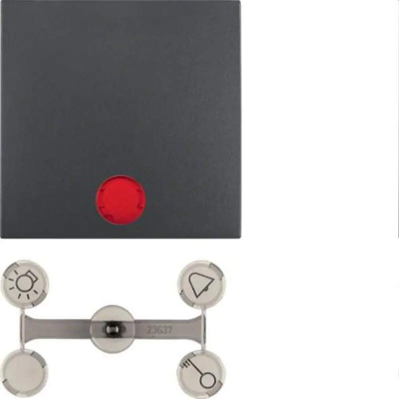 Berker Wippe M316211606 anthrazit matt