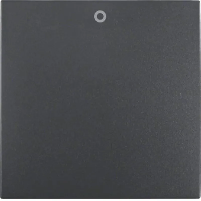 Berker Wippe M316221606 anthrazit matt