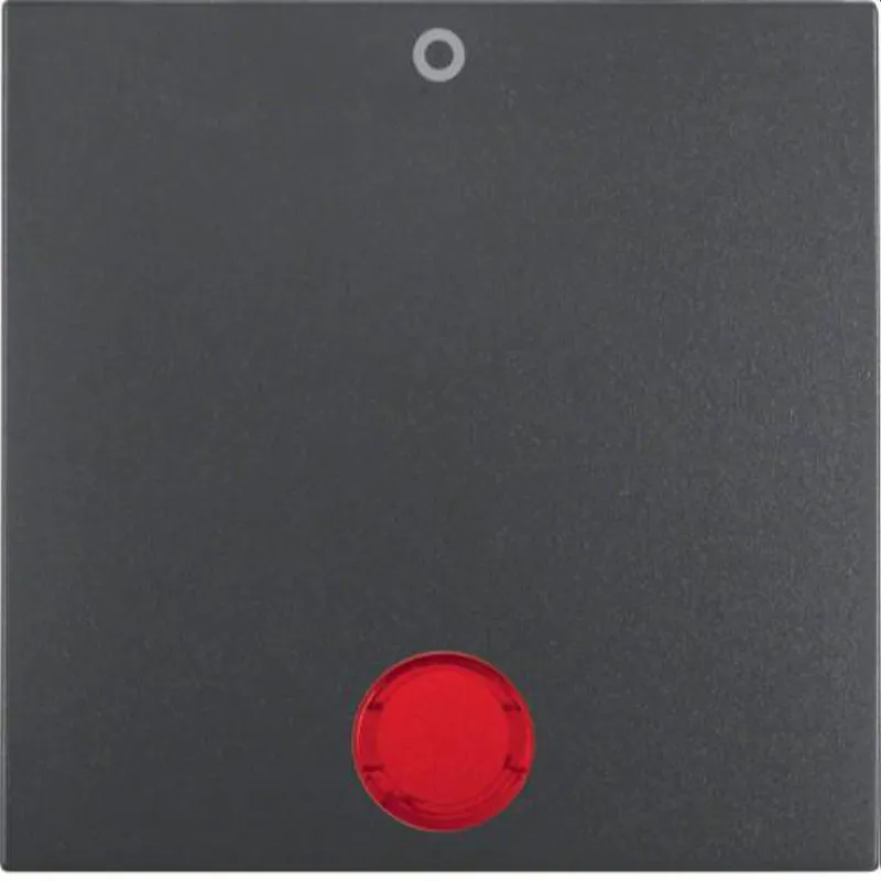 Berker Wippe M316241606 anthrazit matt