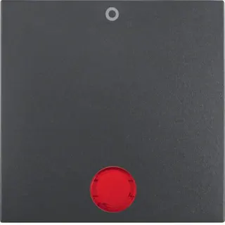 Berker Wippe M316241606 anthrazit matt