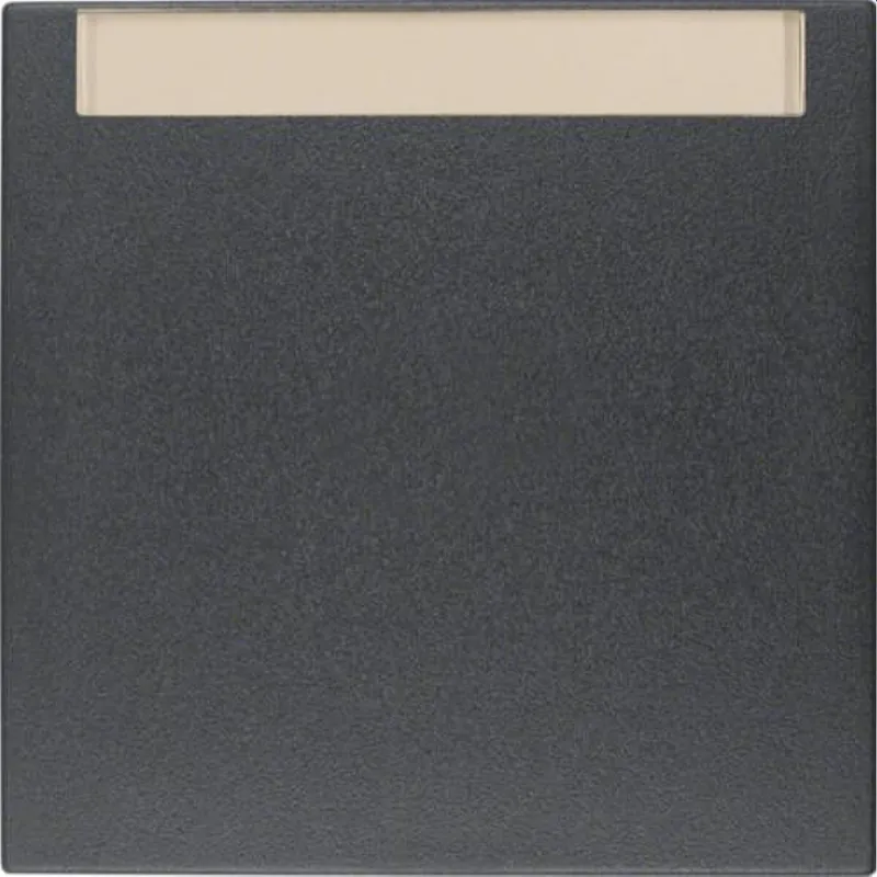 Berker Wippe M316261606 anthrazit matt