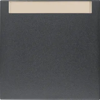 Berker Wippe M316261606 anthrazit matt