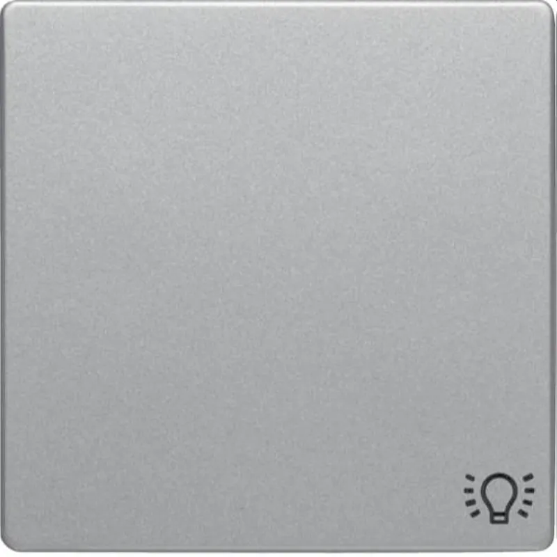 Berker Wippe M3Symbol Licht Q1/Q3 alu samt lackiert