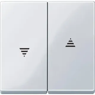 Merten Serienwippe 432425 aktivweiss glaenzend System M