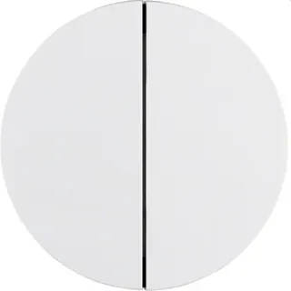 Berker Taste M385142139 2fach polarweiss glaenzend