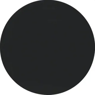 Berker Wippe M316202045 schwarz glaenzend