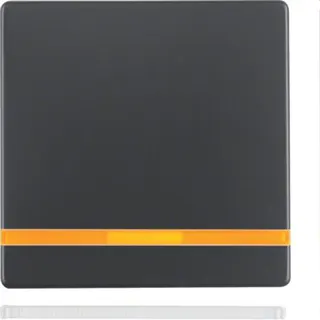 Berker Wippe M316216086 anthrazit samt