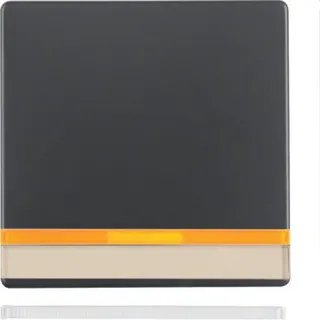 Berker Wippe M316286086 anthrazit samt