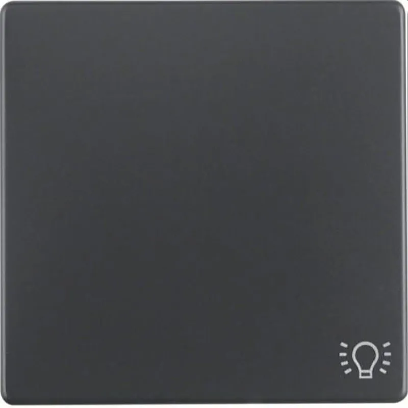 Berker Wippe M316206046 Symbol Licht anthrazit samt