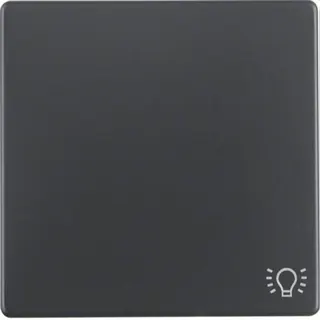 Berker Wippe M316206046 Symbol Licht anthrazit samt