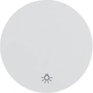 Berker Wippe M316202079 Symbol Licht polarweiss glaenze