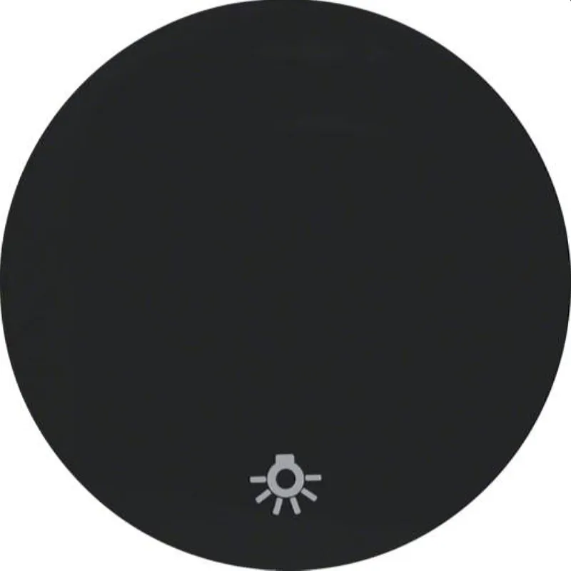 Berker Wippe M316202035 Symbol Licht schwarz glaenzend